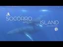 Socorro Island